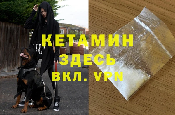 дживик Арсеньев