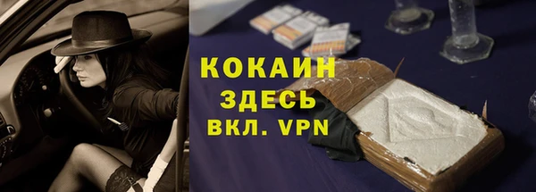 дживик Арсеньев