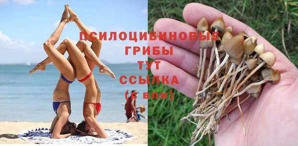 дживик Арсеньев