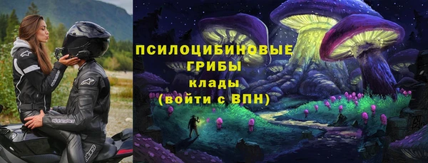 дживик Арсеньев