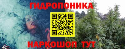 jwh Свободный