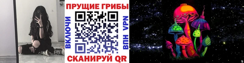 Псилоцибиновые грибы Psilocybe  Радужный 