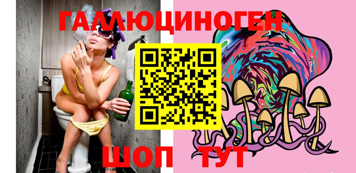 Радужный  Псилоцибиновые грибы ЛСД  Вход с VPN  Галлюциногенные грибы Psilocybe 